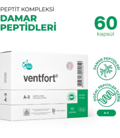 Ventfort A-3 Damar Sistemi